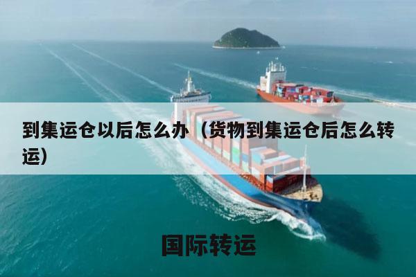 到集运仓以后怎么办（货物到集运仓后怎么转运）