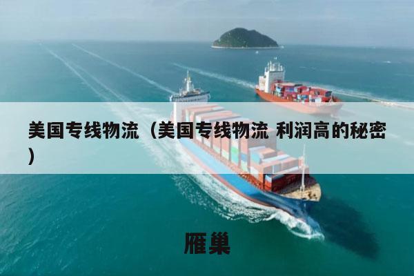 美国专线物流（美国专线物流 利润高的秘密）