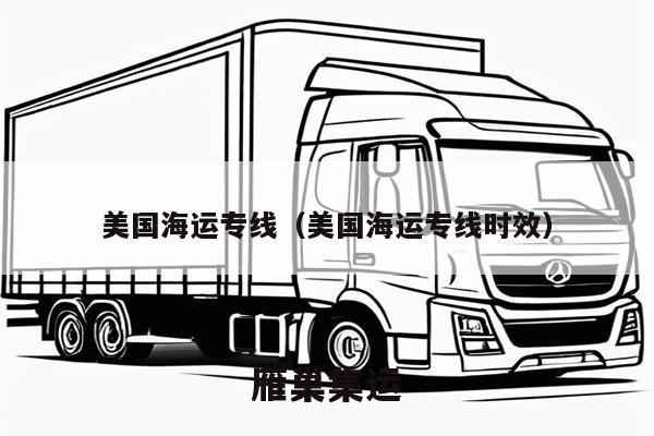 美国海运专线（美国海运专线时效）