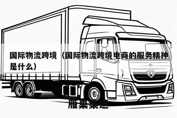 国际物流跨境（国际物流跨境电商的服务精神是什么）