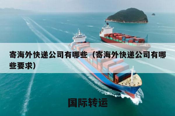 寄海外快递公司有哪些（寄海外快递公司有哪些要求）