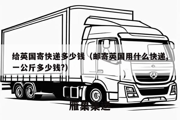 给英国寄快递多少钱（邮寄英国用什么快递,一公斤多少钱?）