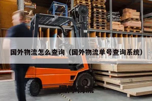 国外物流怎么查询（国外物流单号查询系统）