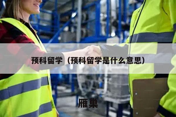 预科留学（预科留学是什么意思）