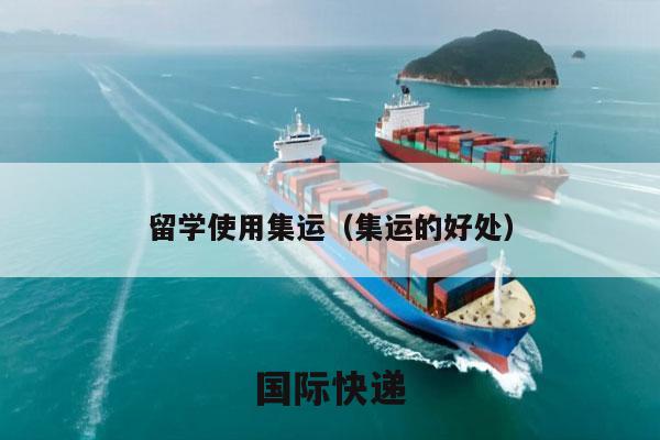 留学使用集运（集运的好处）