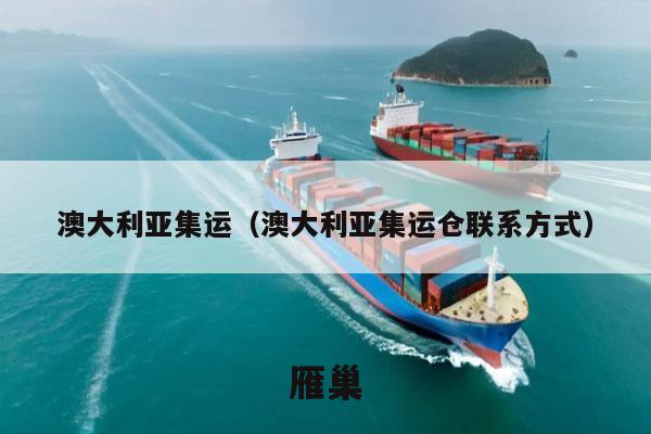 澳大利亚集运（澳大利亚集运仓联系方式）