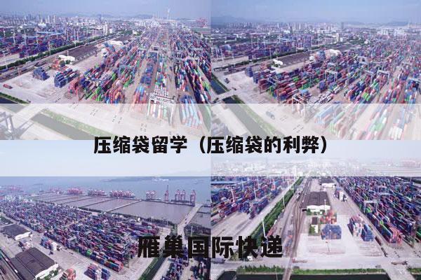压缩袋留学（压缩袋的利弊）