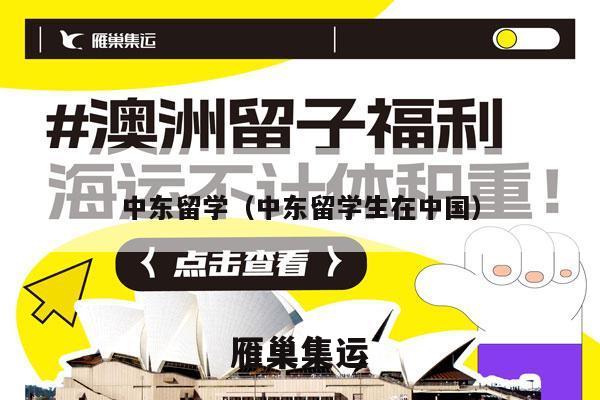中东留学（中东留学生在中国）