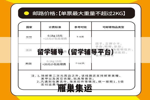 留学辅导（留学辅导平台）
