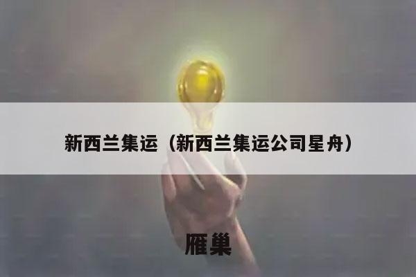 新西兰集运（新西兰集运公司星舟）