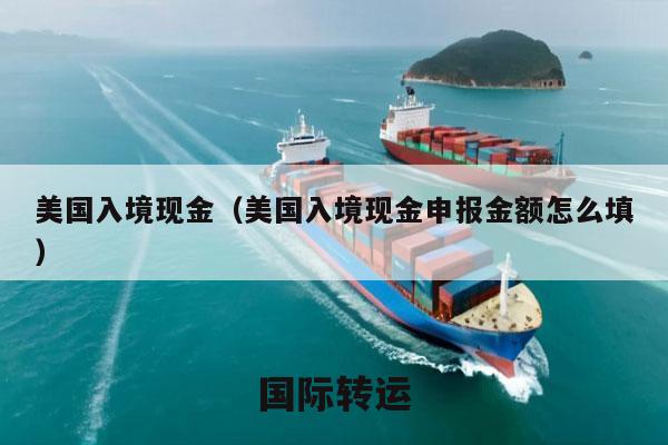 美国入境现金（美国入境现金申报金额怎么填）