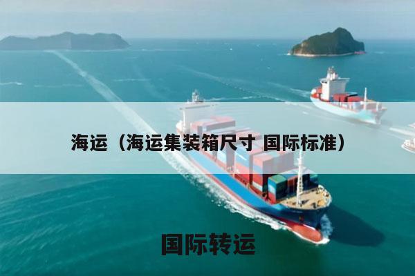 海运（海运集装箱尺寸 国际标准）