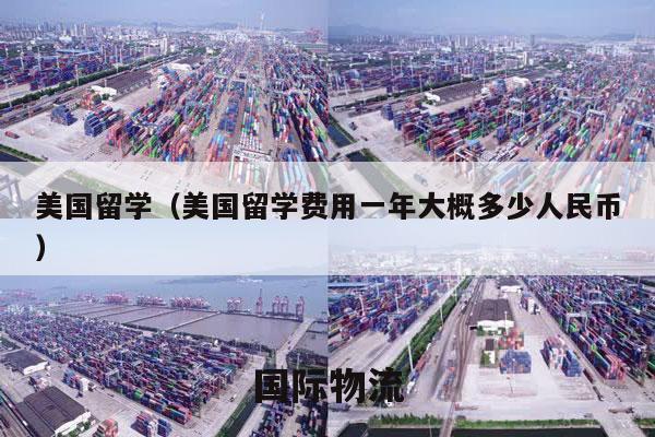 美国留学（美国留学费用一年大概多少人民币）