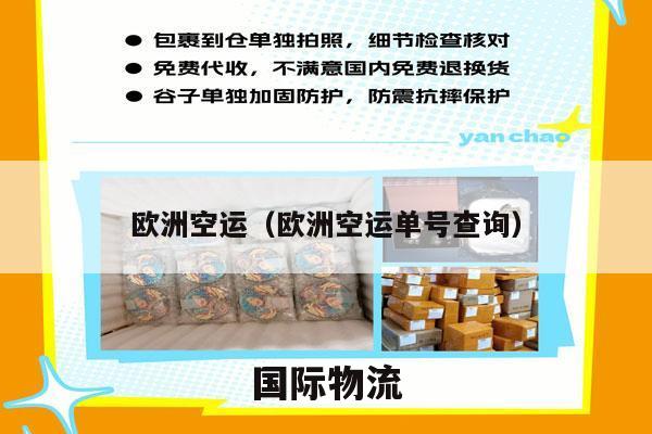 欧洲空运（欧洲空运单号查询）