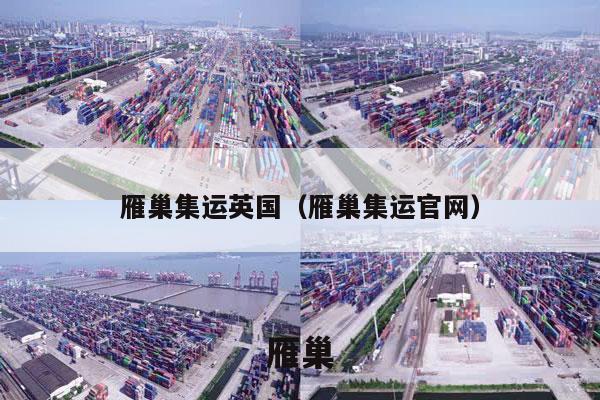 雁巢集运英国（雁巢集运官网）