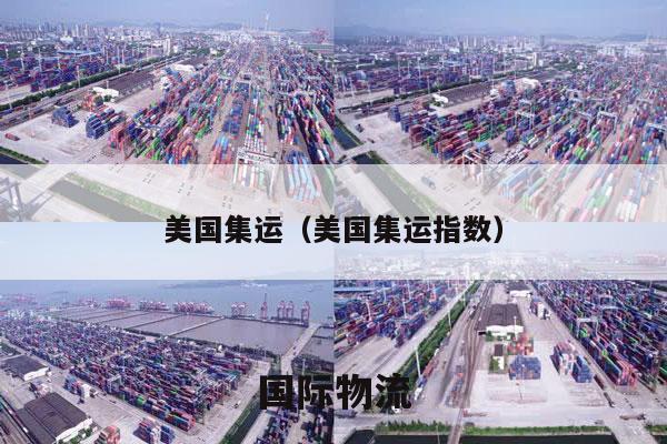 美国集运（美国集运指数）