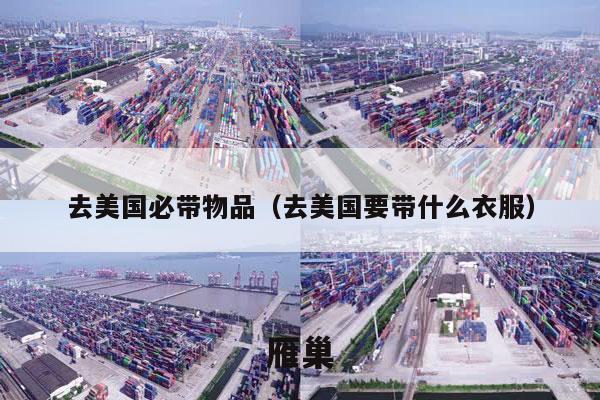 去美国必带物品（去美国要带什么衣服）